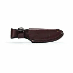 Buck Alpha Scout Walnut (0662WAS-B/13464) -HOUSE OF KNIVES Sales 0662WAS B Buck Alpha Scout Walnut BK200091 3 65240.1675979790