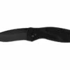 Kershaw Blur Black (1670BLK)