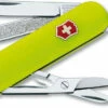 Victorinox Swiss Army Classic SD StayGlow (2.6223.808R-X1) -HOUSE OF KNIVES Sales 53208b 82077.1605659934