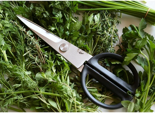 Michel Bras #1 Herb Shears (BK0202) 4 Michel Bras #1 Herb Shears (BK0202) - Image 2