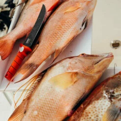 Bubba Flex Fillet Knife 9" (BUB19F) -HOUSE OF KNIVES Sales BUB19F Bubba Flex 9 BL22008 5 40051.1651173409