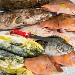 Bubba Flex Fillet Knife 9" (BUB19F) -HOUSE OF KNIVES Sales BUB19F Bubba Flex 9 BL22008 6 56700.1651173407