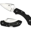 Spyderco Dragonfly 2 Black FRN (C28PBK2) -HOUSE OF KNIVES Sales C28PBK2 Both 14931.1604002120