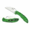 Spyderco Salt 2 LC200N Wharncliffe Green (C88FPWCGR2) 1 Spyderco Salt 2 LC200N Wharncliffe Green (C88FPWCGR2) -HOUSE OF KNIVES Sales C88FPWCGR2 Spyderco Salt 2 LC200N Wharncliffe green SP2117 1 23203.1642451693