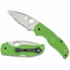 Spyderco Native 5 Salt Green (C41PGR5) 2 Spyderco Native 5 Salt Green (C41PGR5) -HOUSE OF KNIVES Sales CP41PGR5 Spyderco Native 5 Salt Green SP22003 1 91868.1654546228