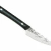 Kai Pro 3.5" Paring Knife (HT7068) -HOUSE OF KNIVES Sales HT7068 Kai Pro 3.5in Paring Knife 875221 1 06315.1530317325